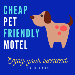 Cheap Pet Friendly Motels Near Me 